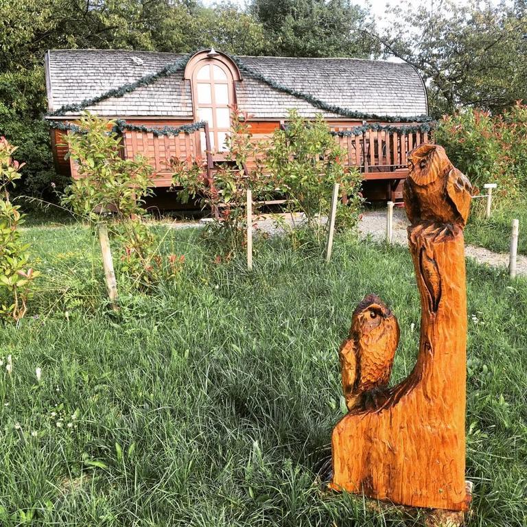 Le Chalet Du Chemin Et Sa Roulotte Berviller-en-Moselle Luaran gambar