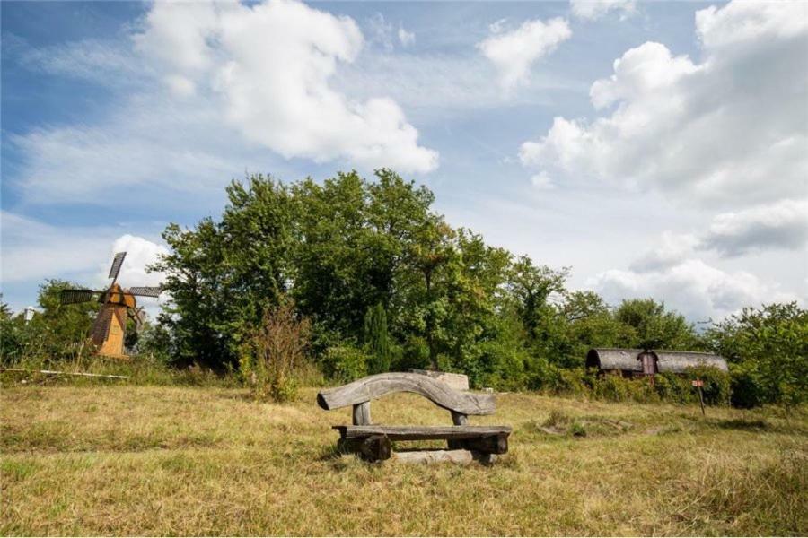 Le Chalet Du Chemin Et Sa Roulotte Berviller-en-Moselle Luaran gambar