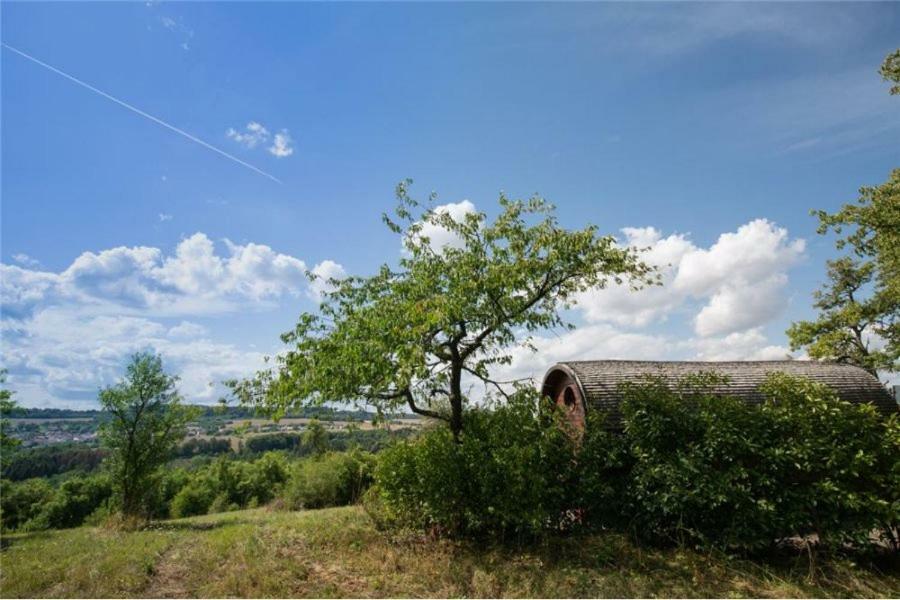 Le Chalet Du Chemin Et Sa Roulotte Berviller-en-Moselle Luaran gambar